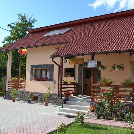 Arnota Villa Costesti  Exteriör bild