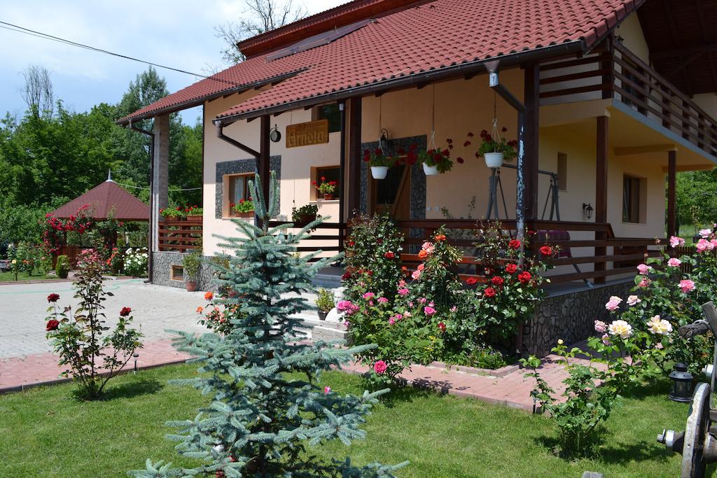Arnota Villa Costesti  Exteriör bild