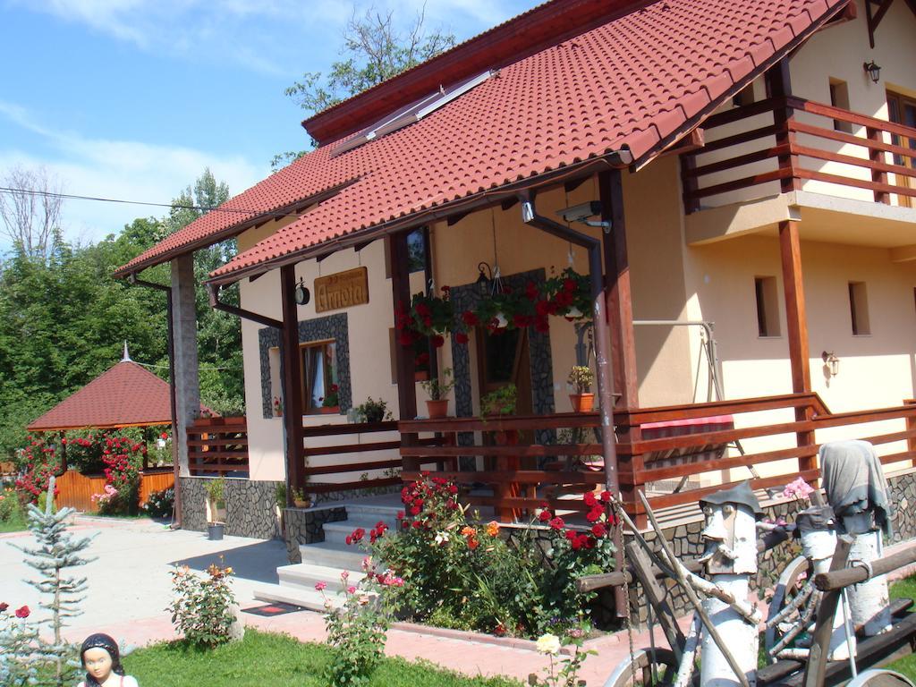 Arnota Villa Costesti  Exteriör bild