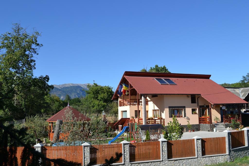 Arnota Villa Costesti  Exteriör bild